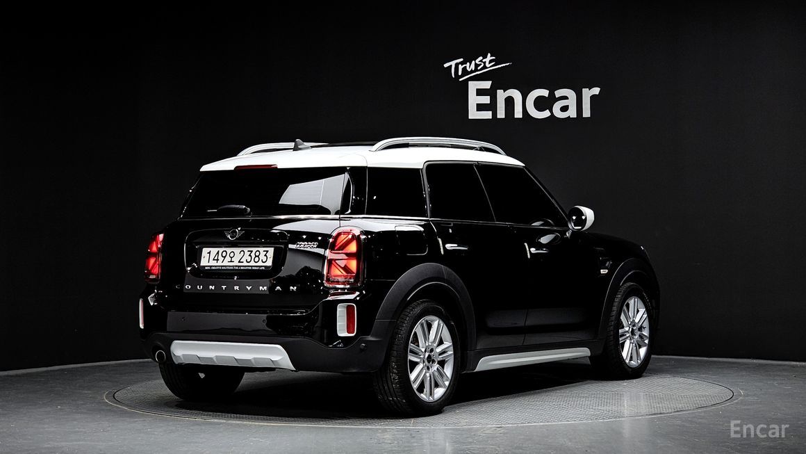 Mini Country Man - фото 1