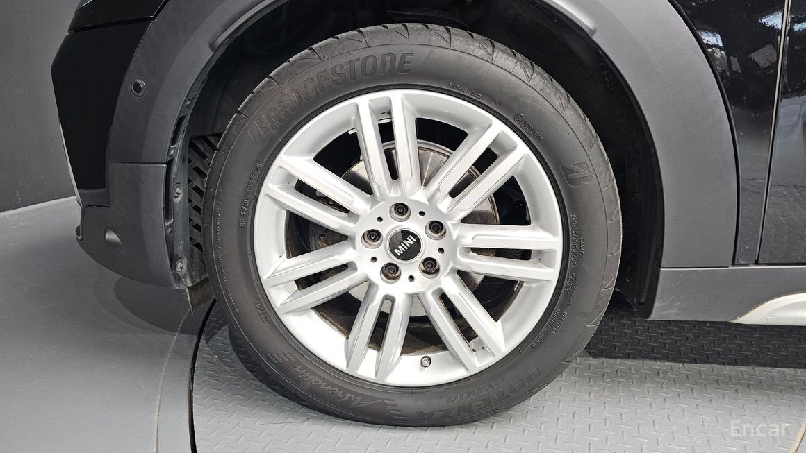 Mini Country Man - фото 4