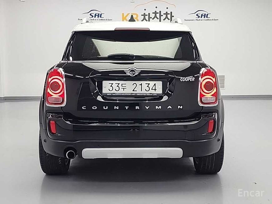 Mini Country Man - фото 3