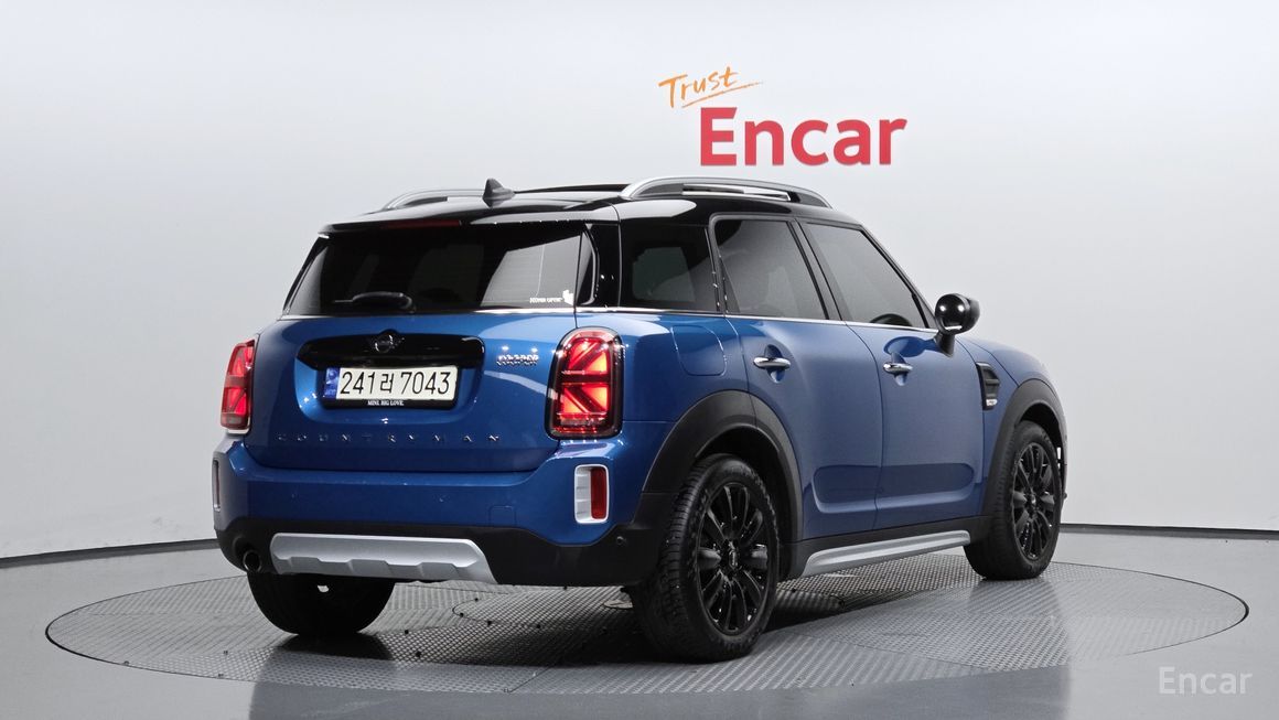 Mini Country Man - фото 1