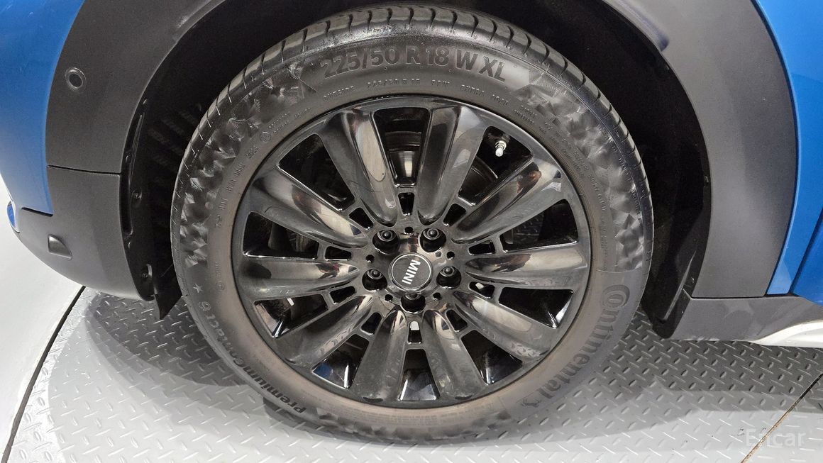 Mini Country Man - фото 4