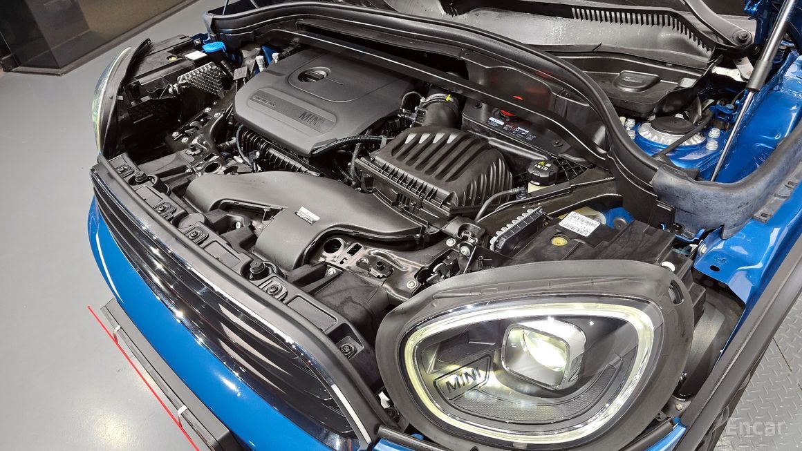 Mini Country Man - фото 5