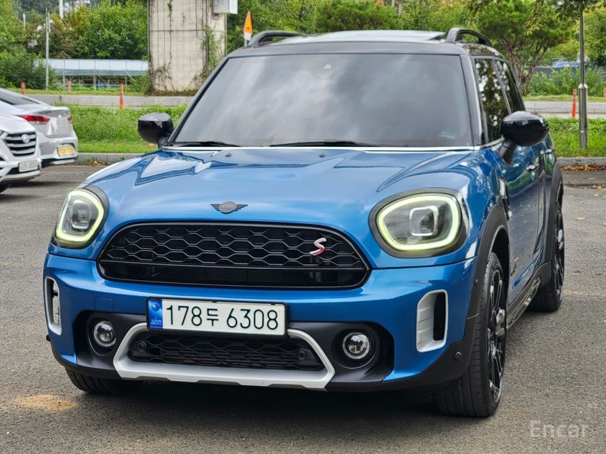 Mini Country Man - фото 2
