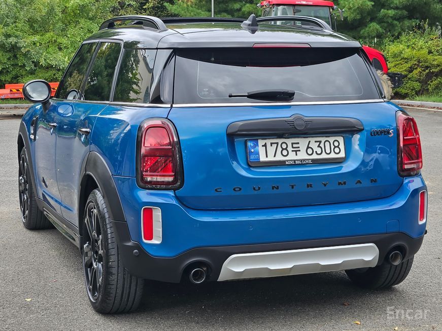 Mini Country Man - фото 4