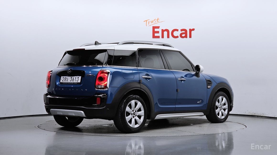 Mini Country Man - фото 1