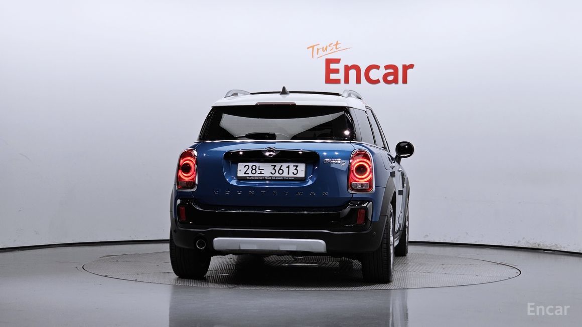 Mini Country Man - фото 3