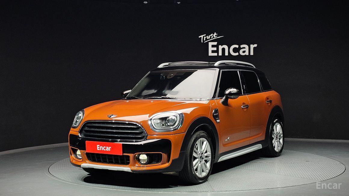 Mini Country Man - фото 0