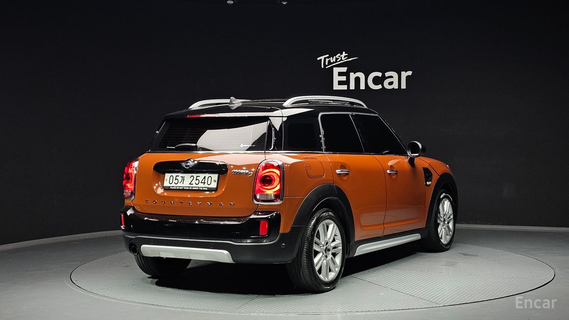 Mini Country Man - фото 1