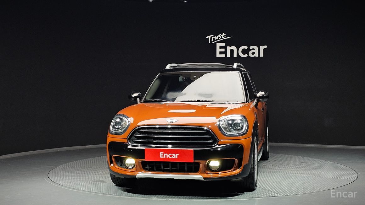 Mini Country Man - фото 2