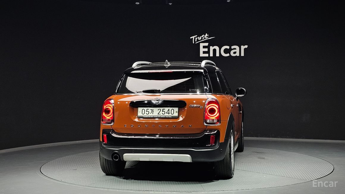 Mini Country Man - фото 3