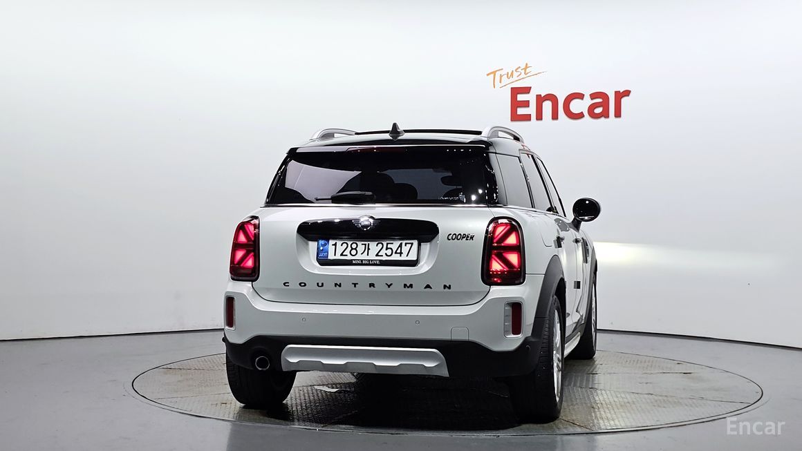 Mini Country Man - фото 3