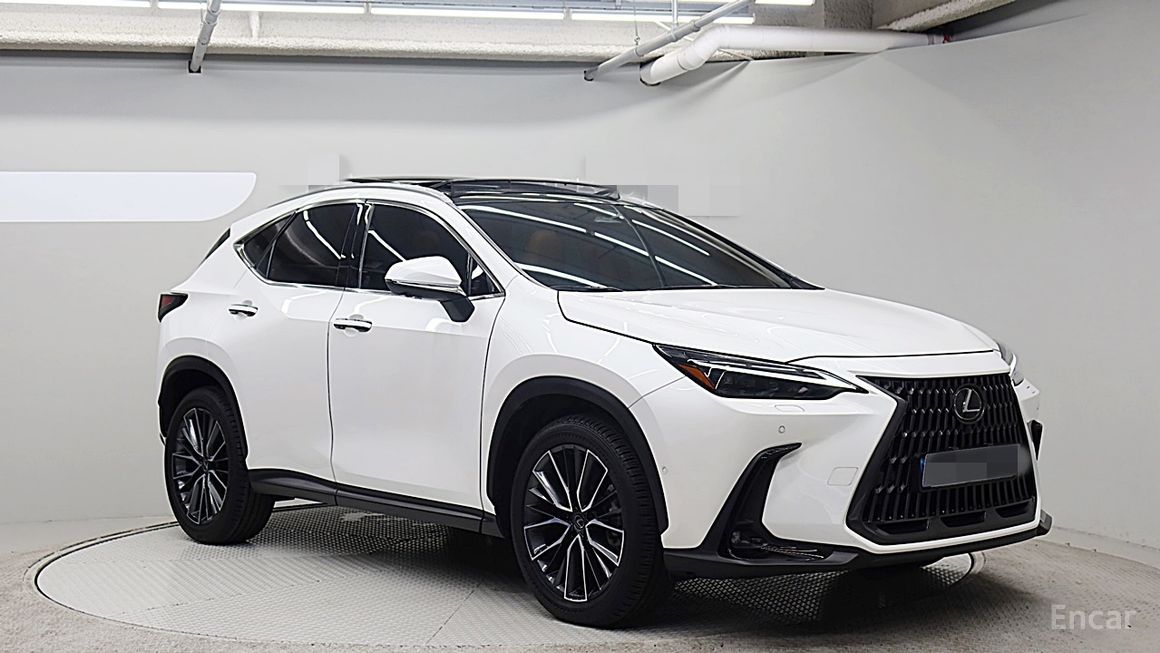 Lexus NX - фото 2