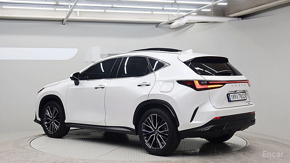 Lexus NX - фото 3