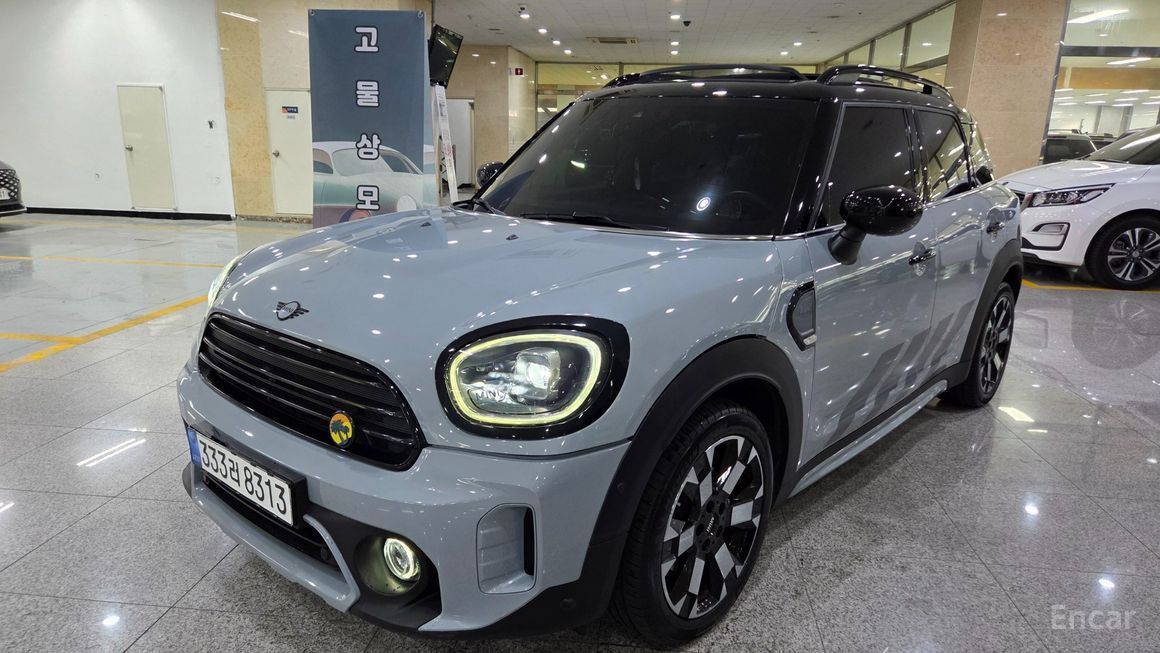 Mini Country Man - фото 0