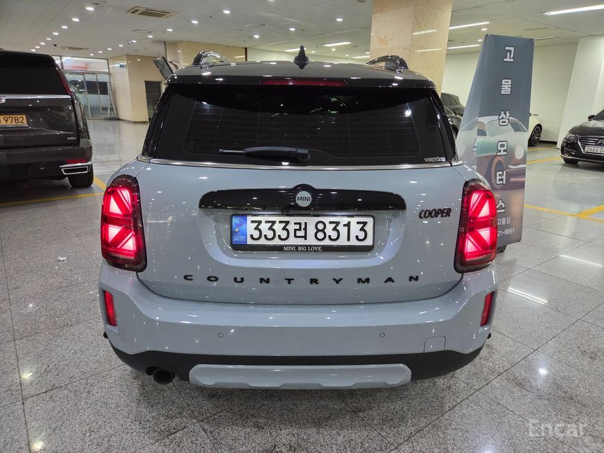 Mini Country Man - фото 3