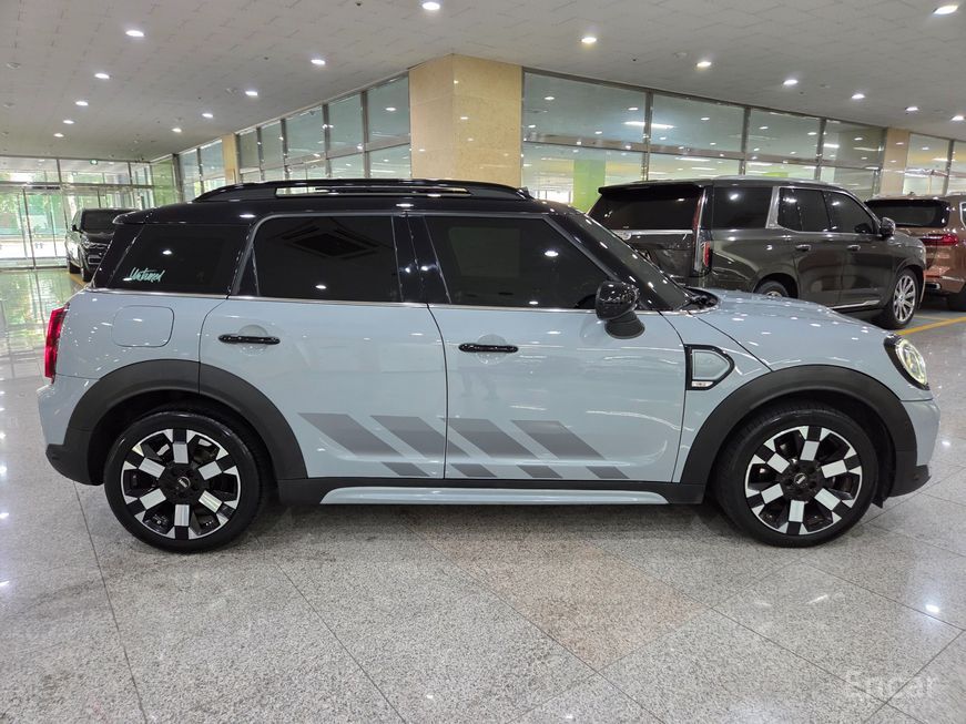 Mini Country Man - фото 4