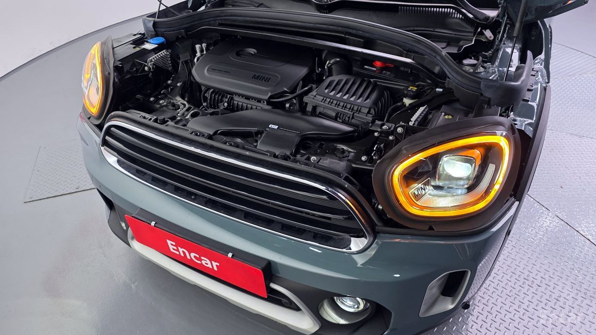 Mini Country Man - фото 5