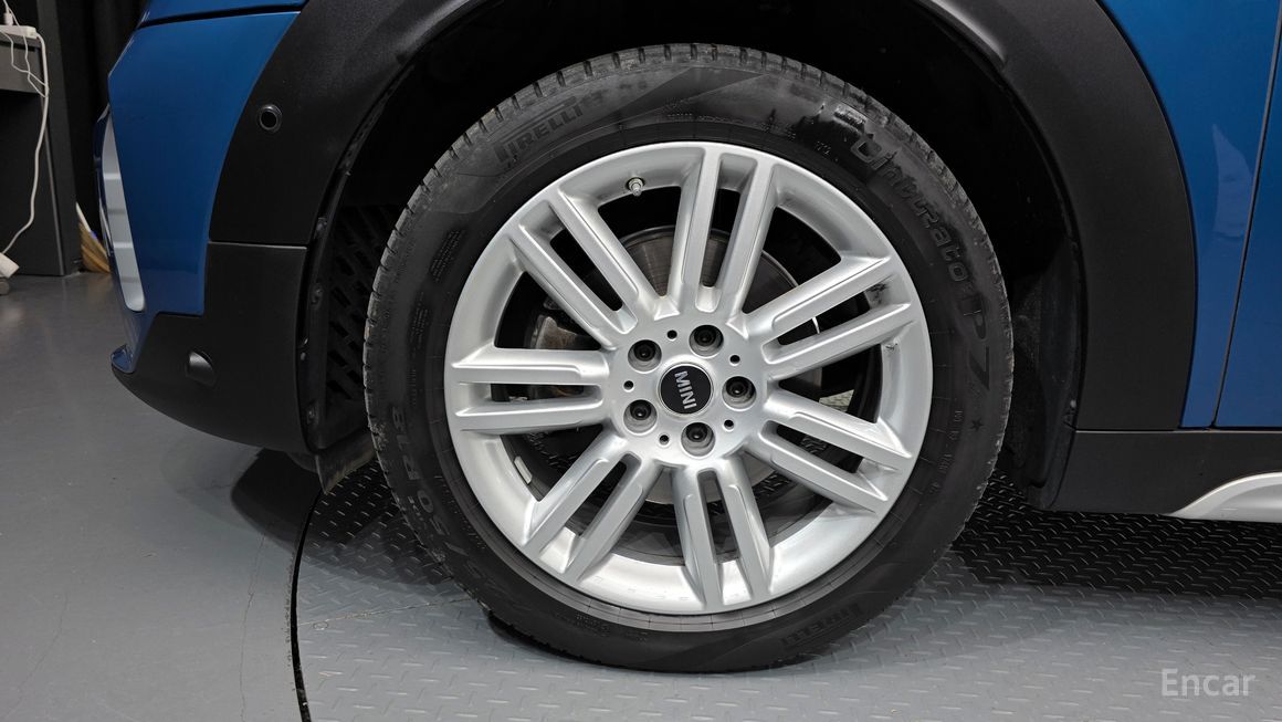 Mini Country Man - фото 4