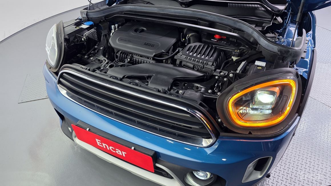 Mini Country Man - фото 5