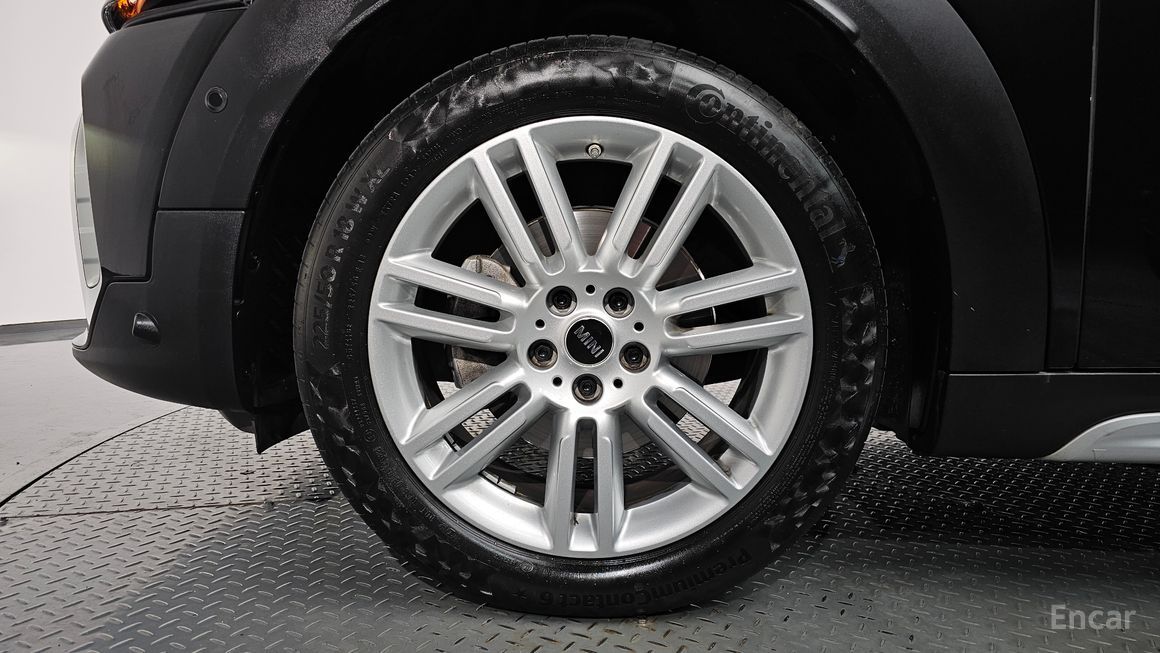 Mini Country Man - фото 4