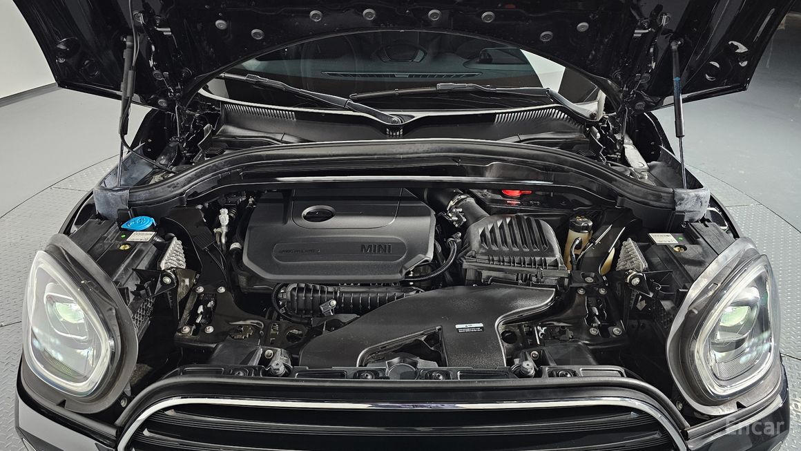 Mini Country Man - фото 5