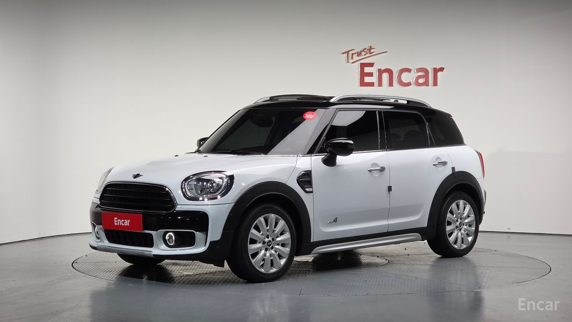 Mini Country Man - фото 0